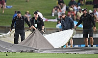 Seddon Park, Hamilton