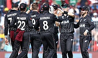 New Zealand celebrate