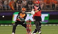 Shaun Marsh Scorchers